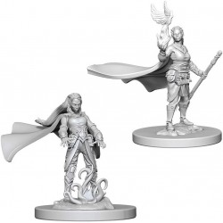 Figura Marvel D&D Nolzurs Marvelous Unpainted Miniatures Wave 4 Elf Female Druid