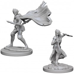 Figura WizKids Pf Mini Elf Female Rogue