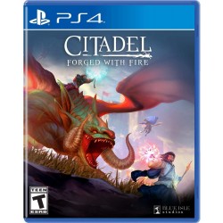 Citadel Forged with Fire - PlayStation 4 Standard Edition