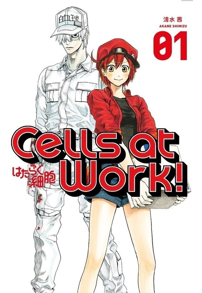 Stream Cells At Work - Hataraku Saibou Opening Cover Español