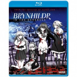 Brynhildr in the Darkness [Blu-ray]