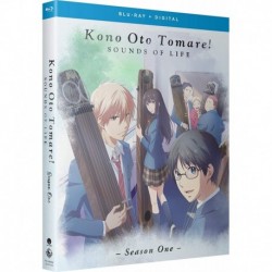 Kono Oto Tomare!: Sounds of Life - Season One [Blu-ray]