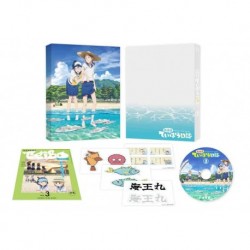 Diary of Our Days at the Breakwater after School Vol.3 [Blu-ray]