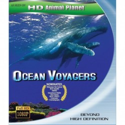 Ocean Voyager [Blu-ray]