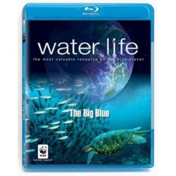 Water Life: The Big Blue