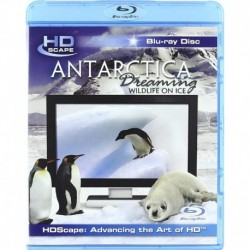 Antarctica Dreaming [Blu-ray]