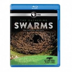 Nature: The Gathering of Swarms [Blu-ray]