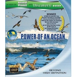 Equator 1: Power Of An Ocean (As seen on Discover HD & Animal Planet) [Blu-ray]