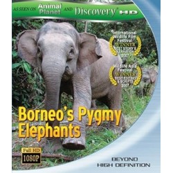 Borneo's Pygmy Elephants [Blu-ray]