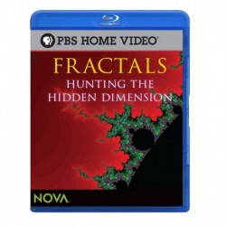 Fractals: Hunting the Hidden Dimension