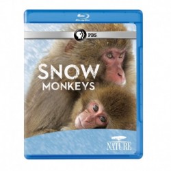 Nature: Snow Monkeys