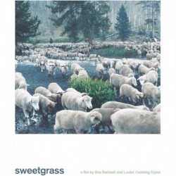 Sweetgrass