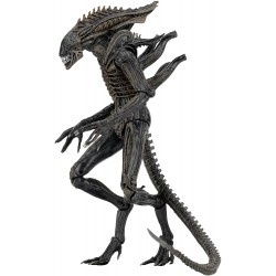 Figura NECA Aliens 7" scale action figure series 11 Defiance (Importación USA)