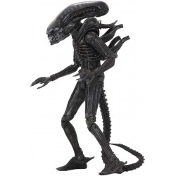 Action Figure Aliens 40TH Anniversary Big CHAP Ultimate 7IN